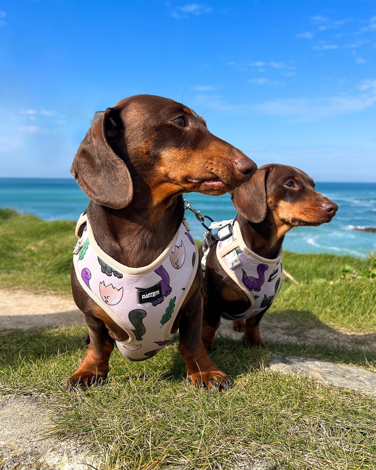 Adjustable Dog Harness - Doggosaur