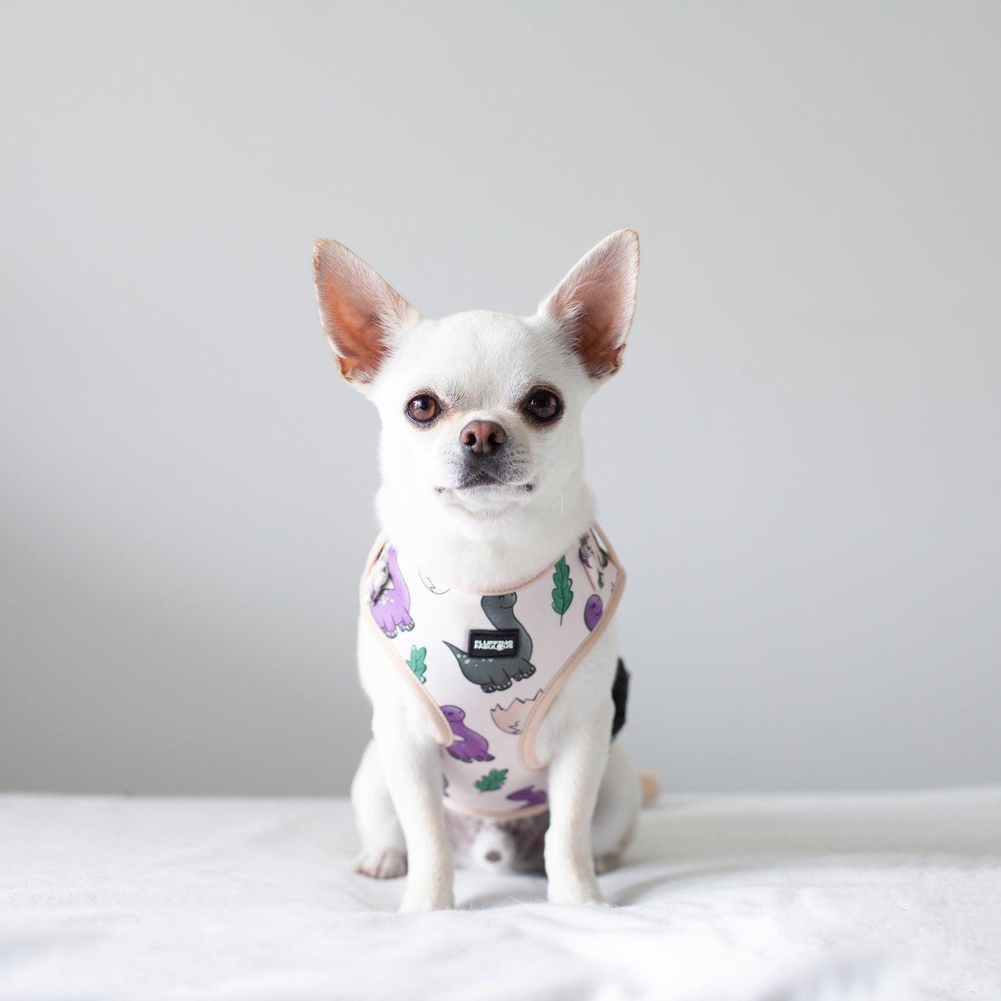Adjustable Dog Harness - Doggosaur