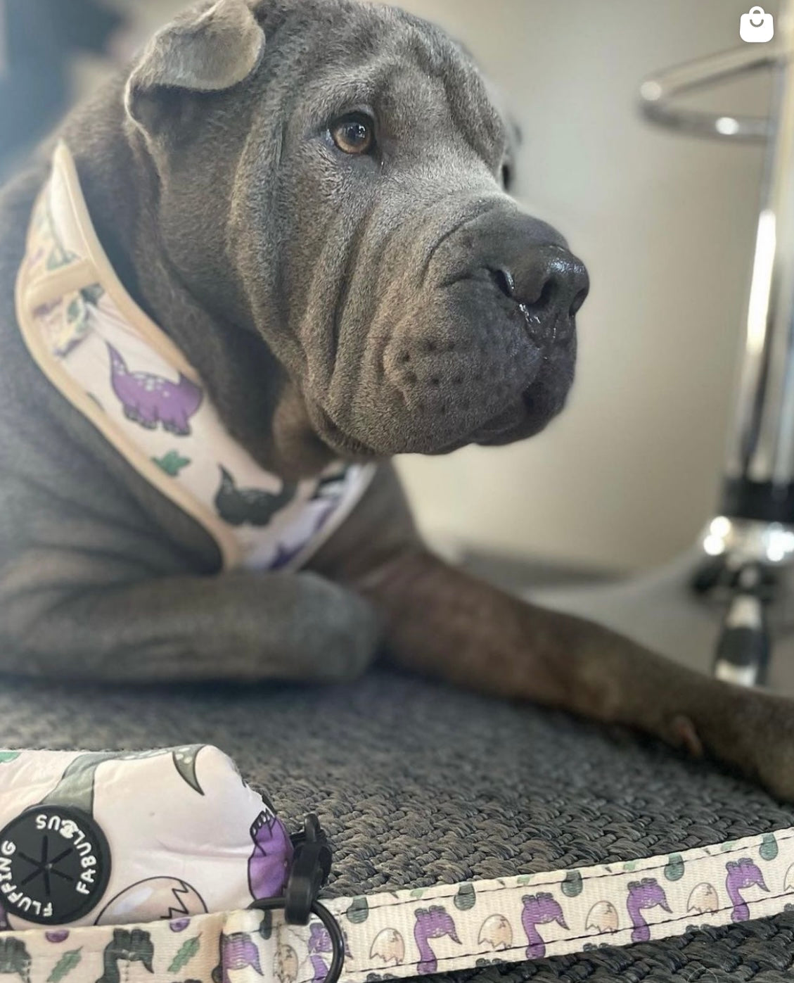 Adjustable Dog Harness - Doggosaur
