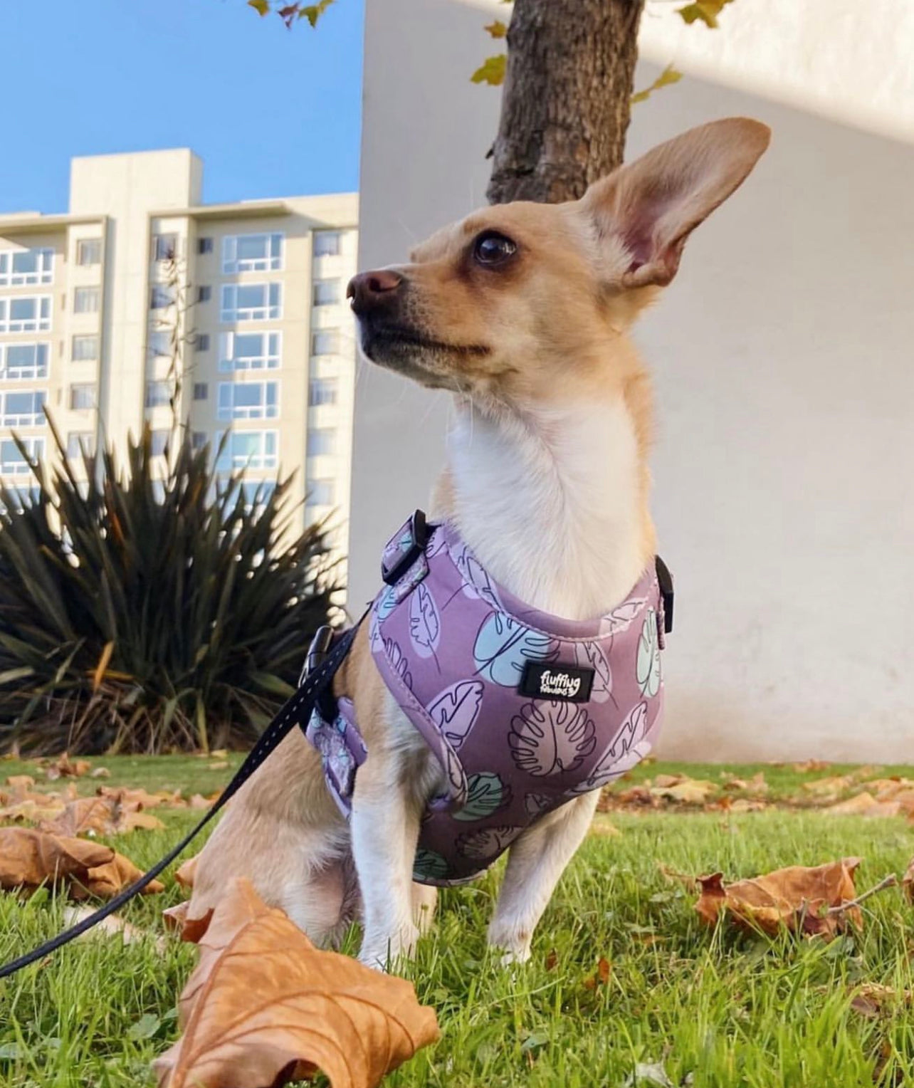 Adjustable Dog Harness - Never Leaf Me
