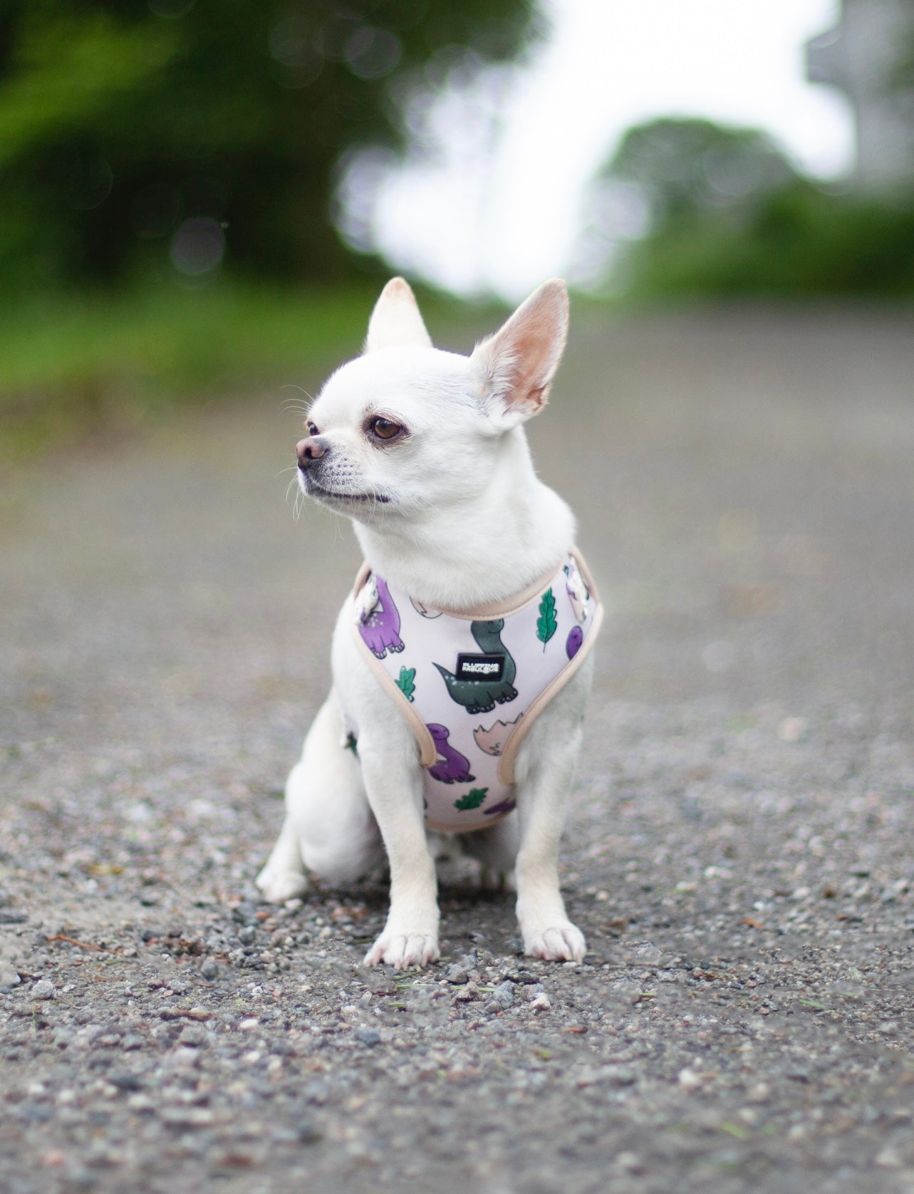Adjustable Dog Harness - Doggosaur