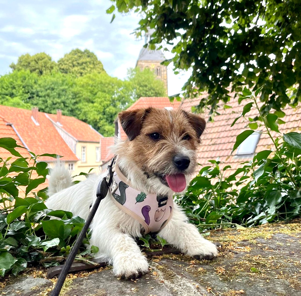 Adjustable Dog Harness - Doggosaur