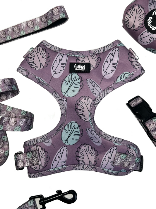 Adjustable affordable dog wear accessories auttumn collection