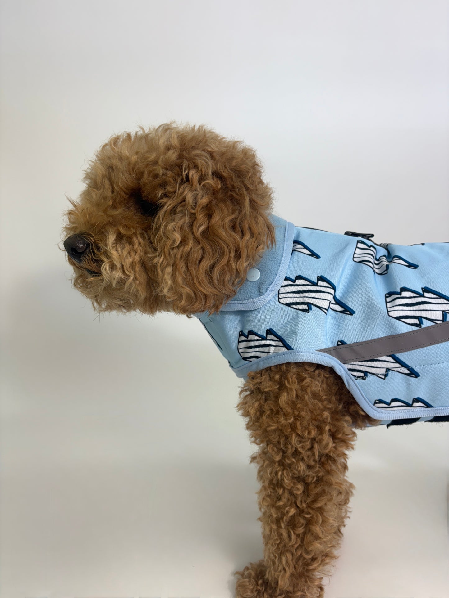 Rain Jacket - Thunder Zoomies