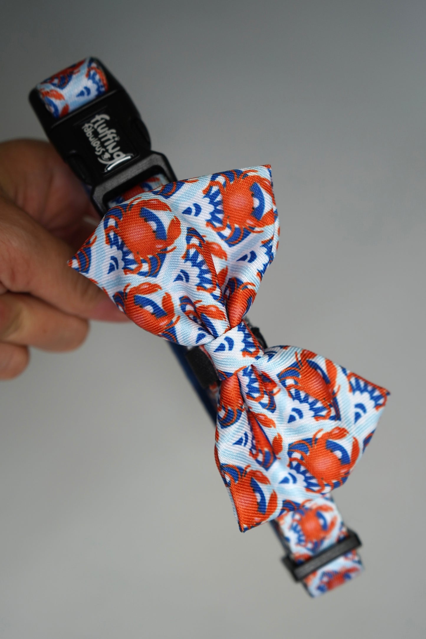 Bow Tie - Holy Crab