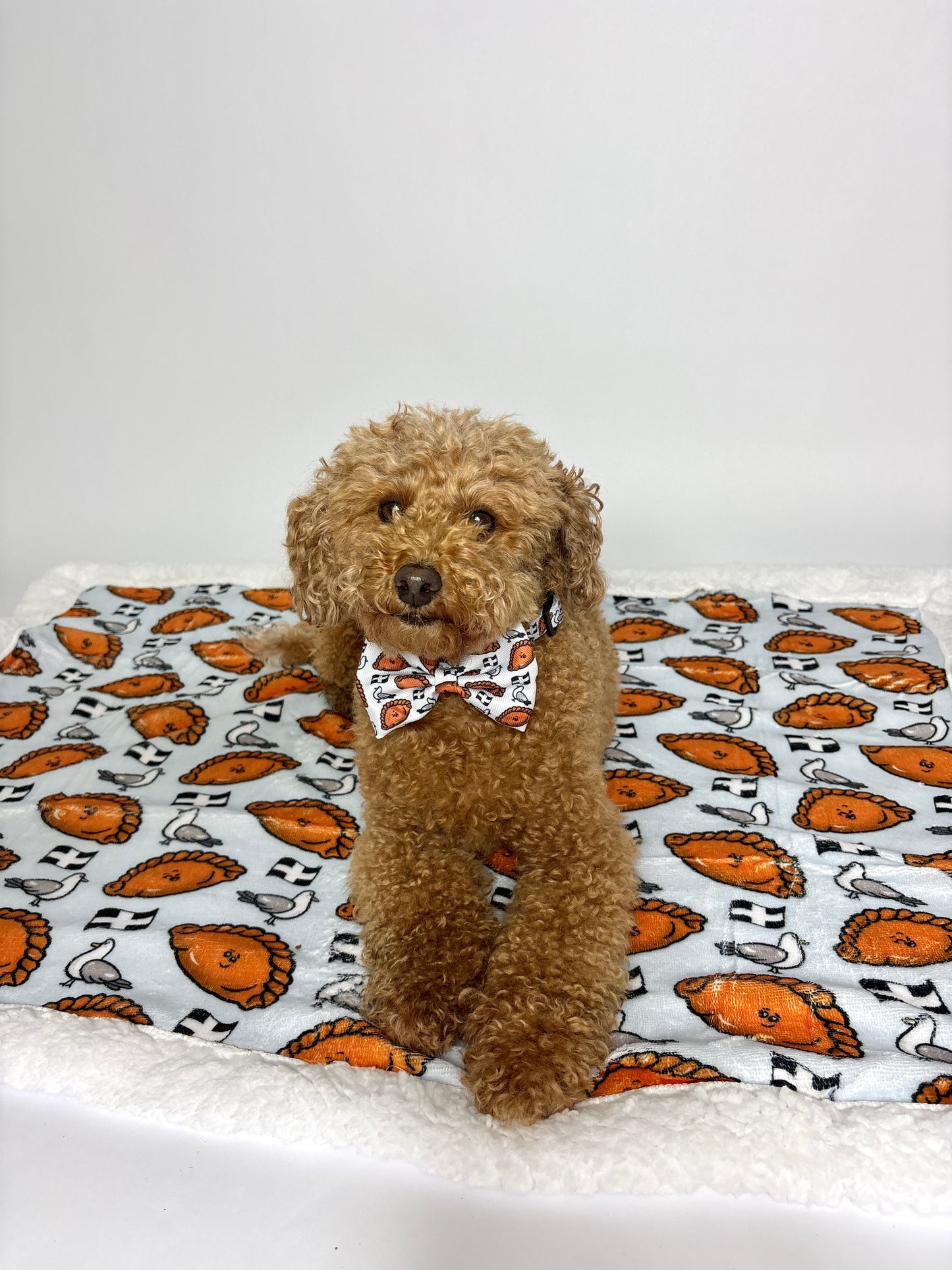 Dog Blankie - Oggy Oggy Doggy