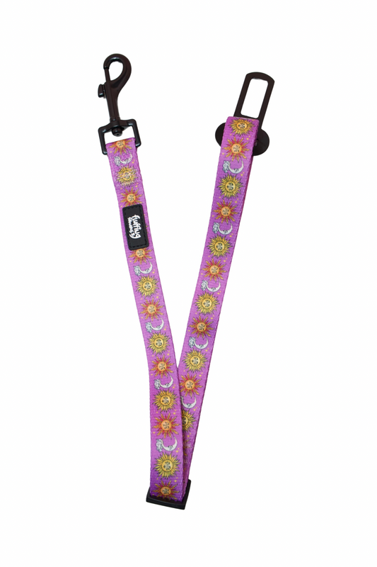 Seatbelt - Sunsational