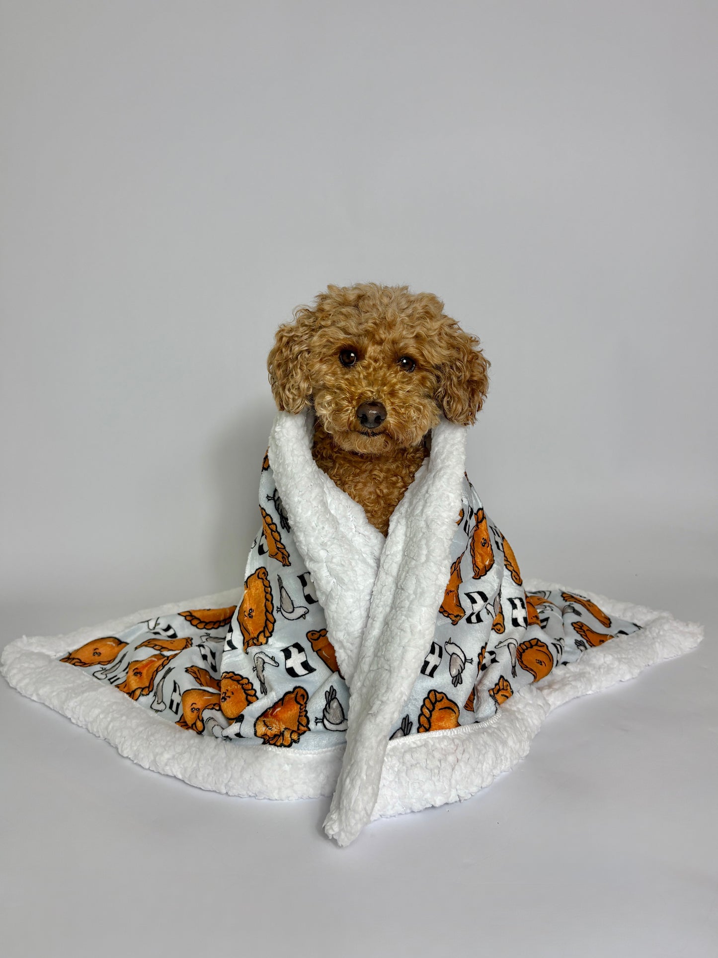 Dog Blankie - Oggy Oggy Doggy