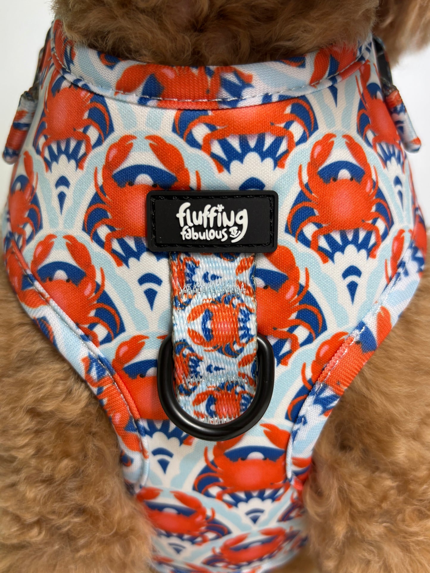 Adjustable Dog Harness - Holy Crab