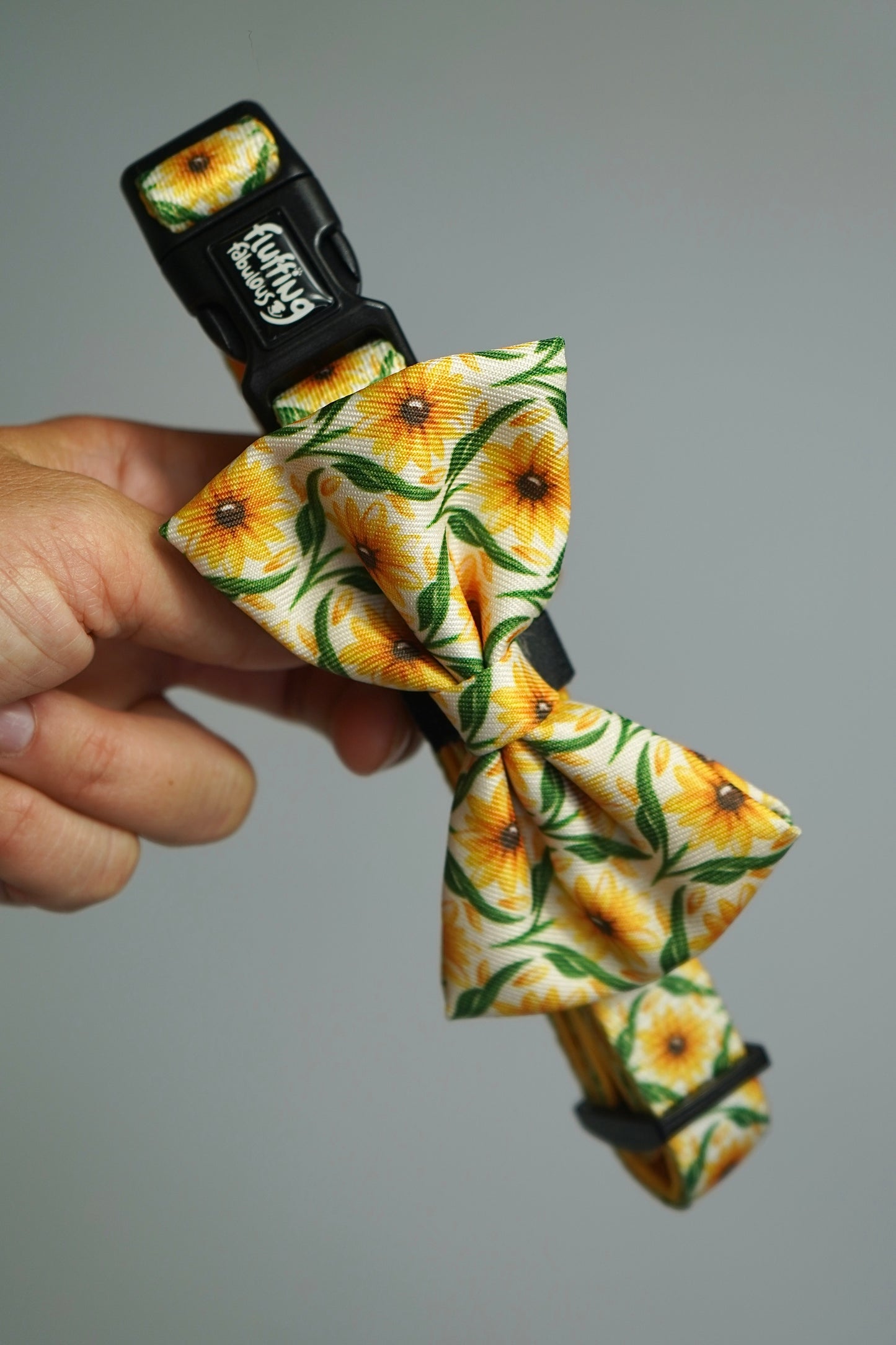 Bow Tie - Sunny Paws