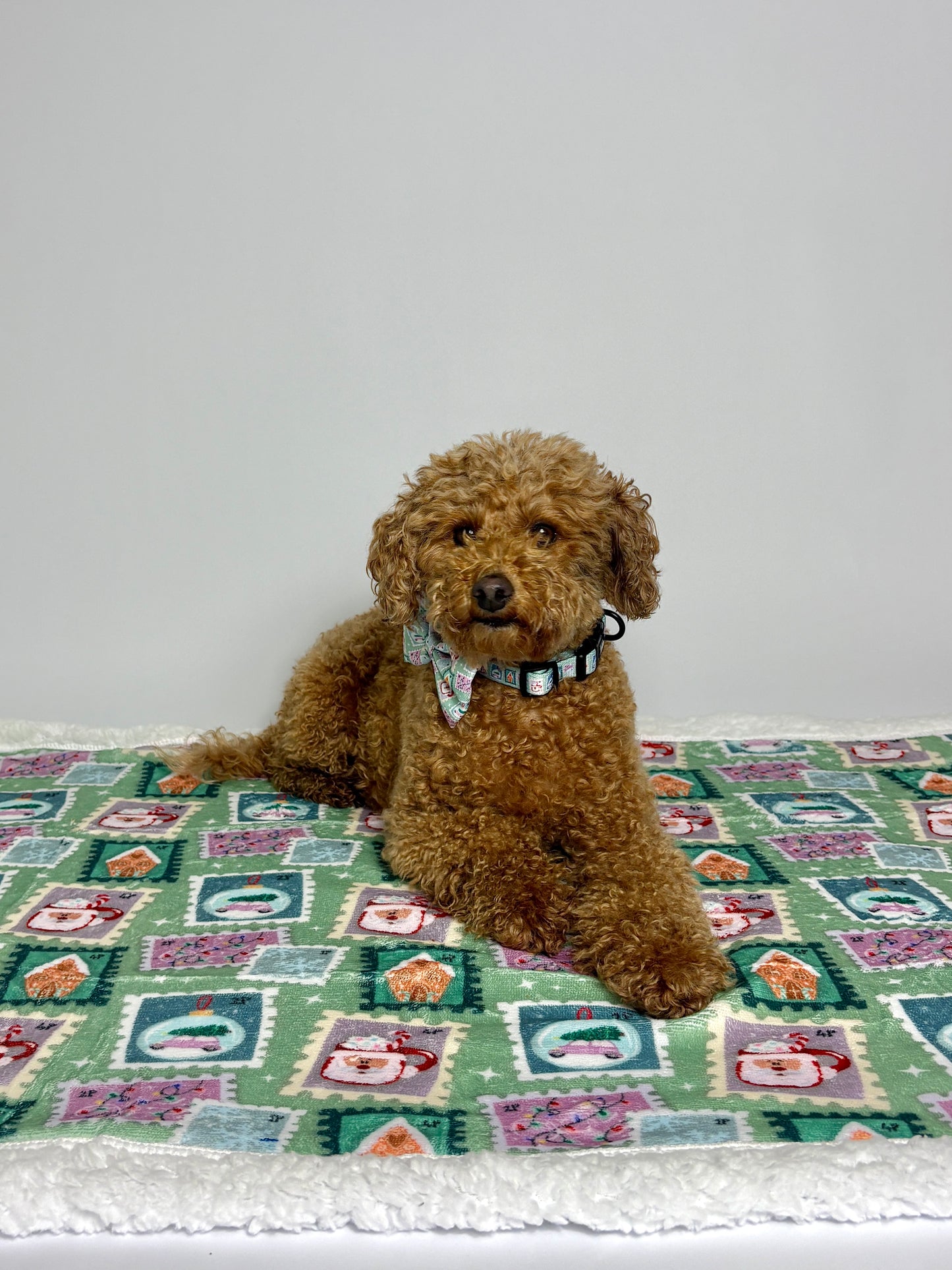 Dog Blankie - Jingle Mail