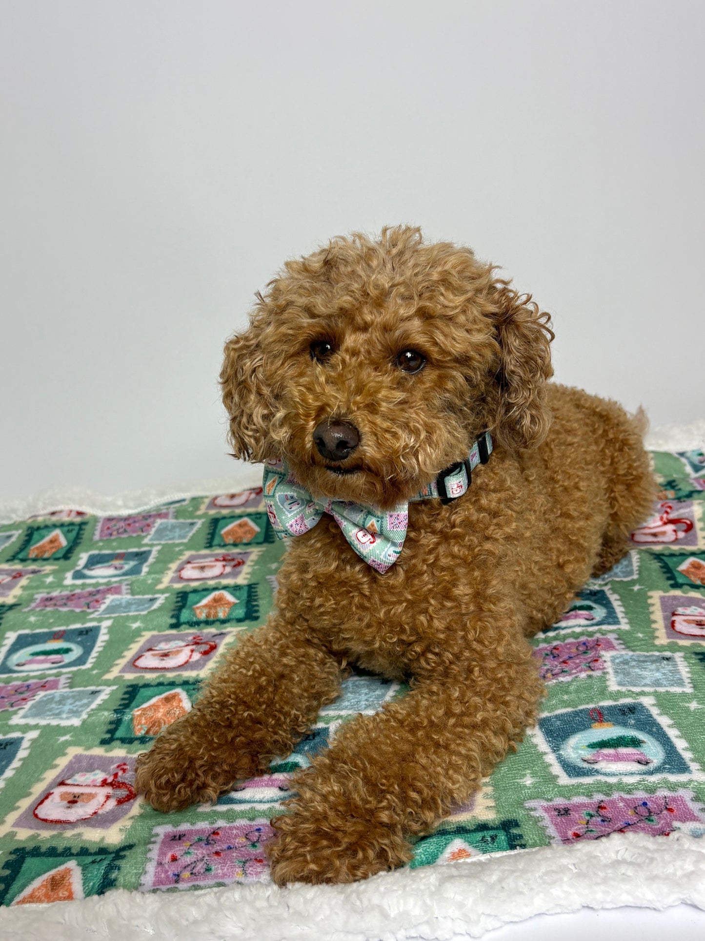 Dog Blankie - Jingle Mail