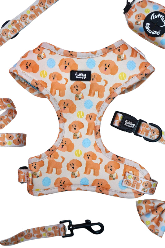 Adjustable Dog Harness - Curly Club Collection