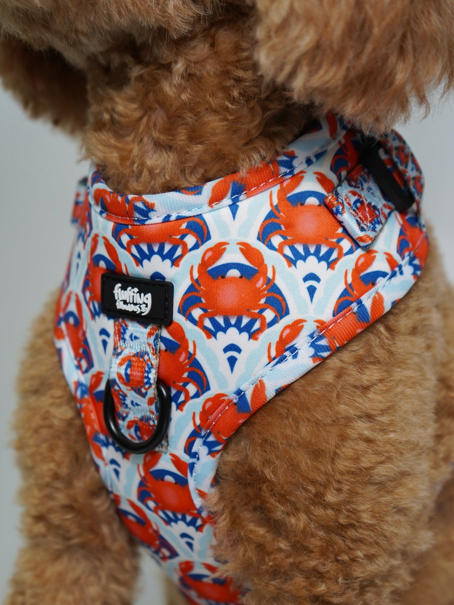 Adjustable Dog Harness - Holy Crab