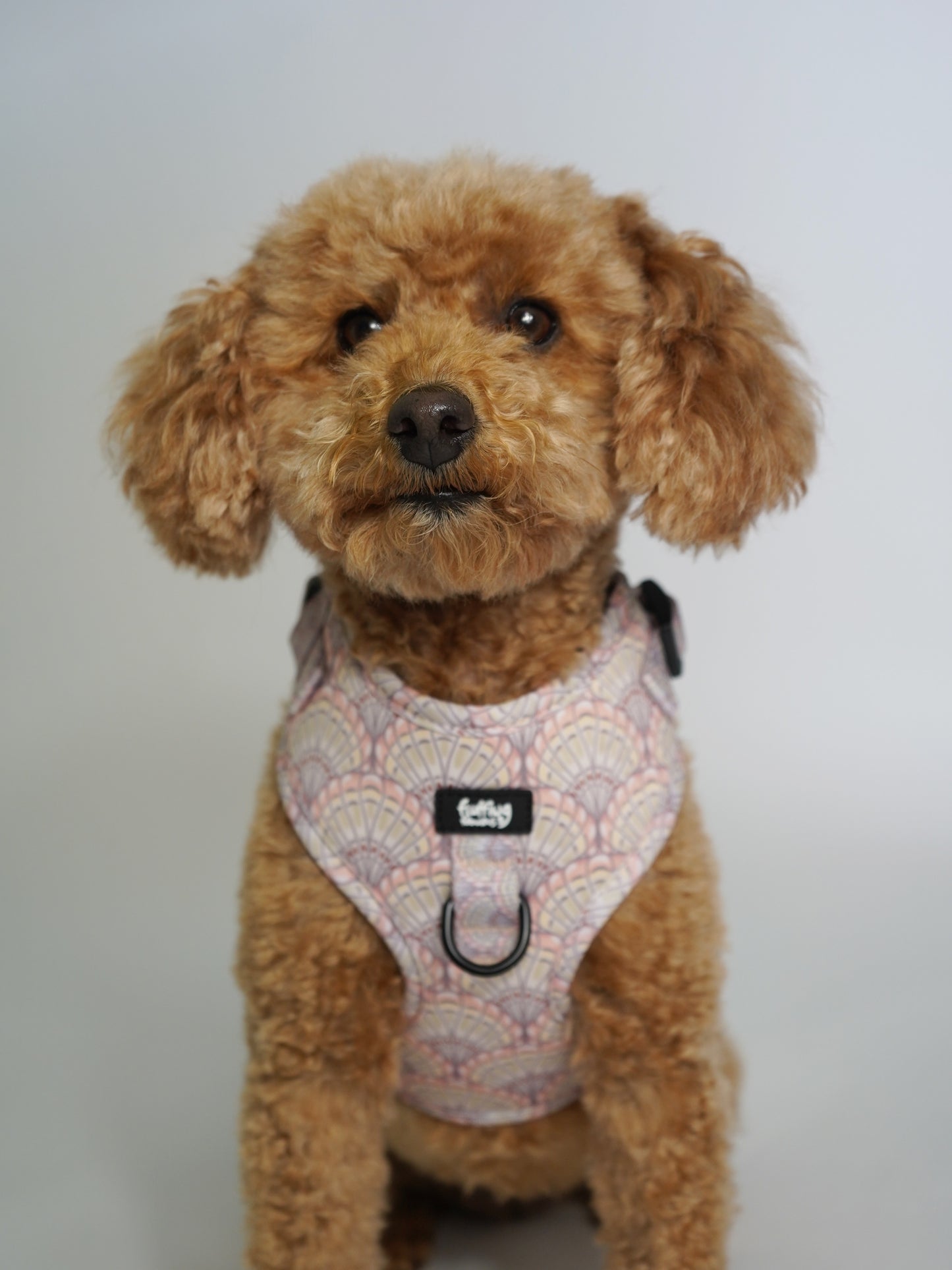 Adjustable Dog Harness - Shell Yeah!