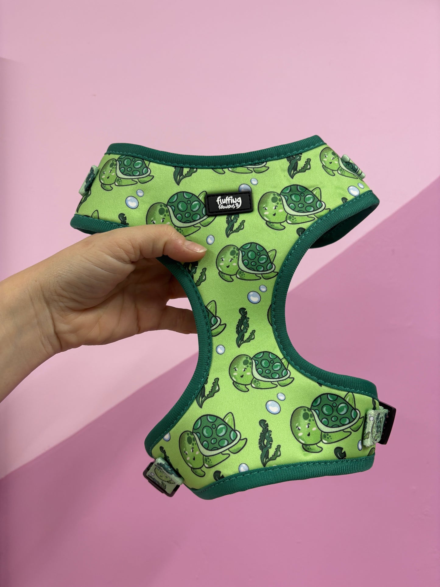 Off colour Turtletastic M