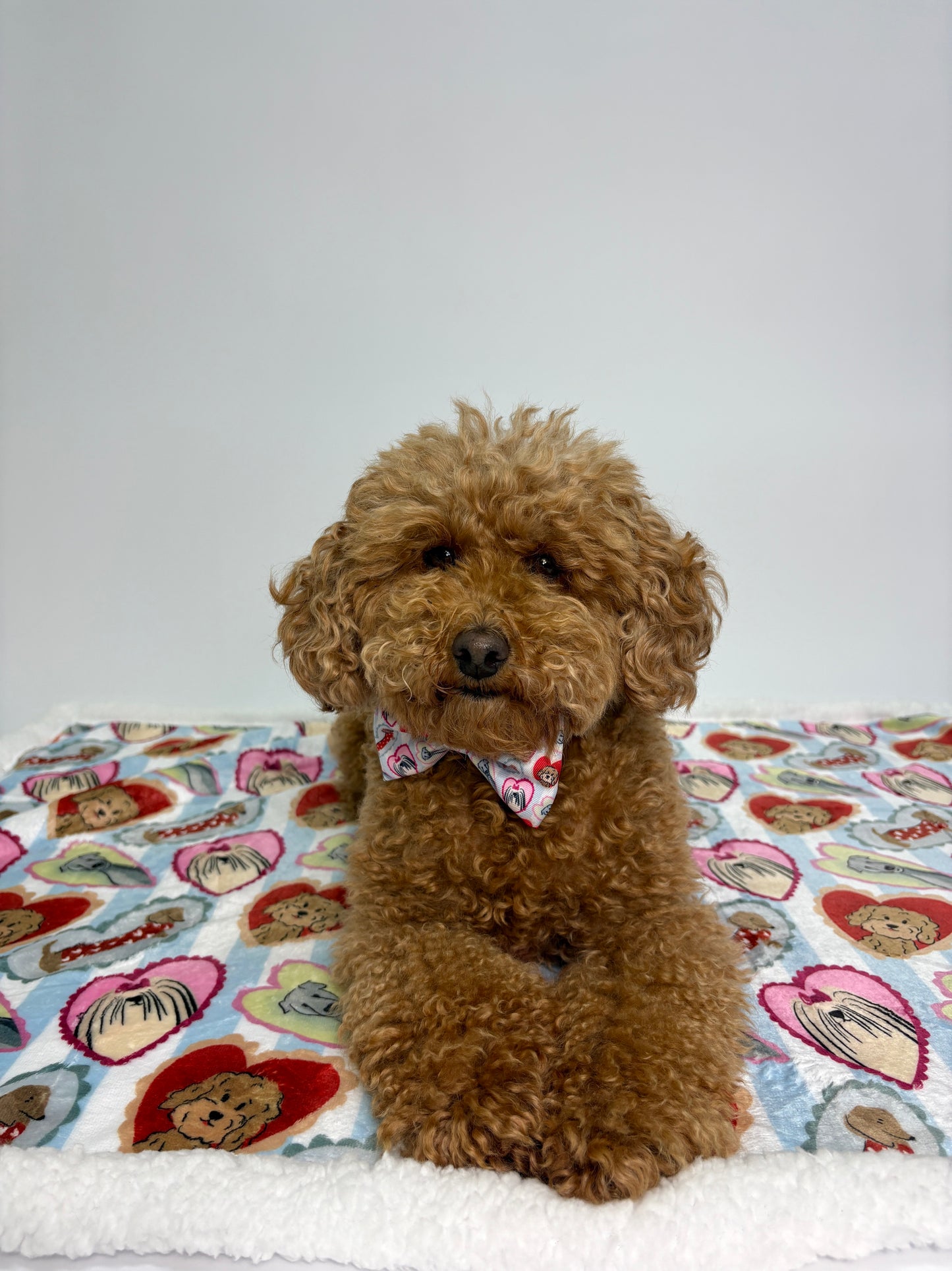 Dog Blankie - My Fur Ever Love