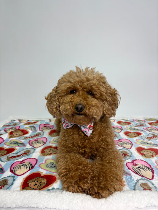 Dog Blankie - My Fur Ever Love