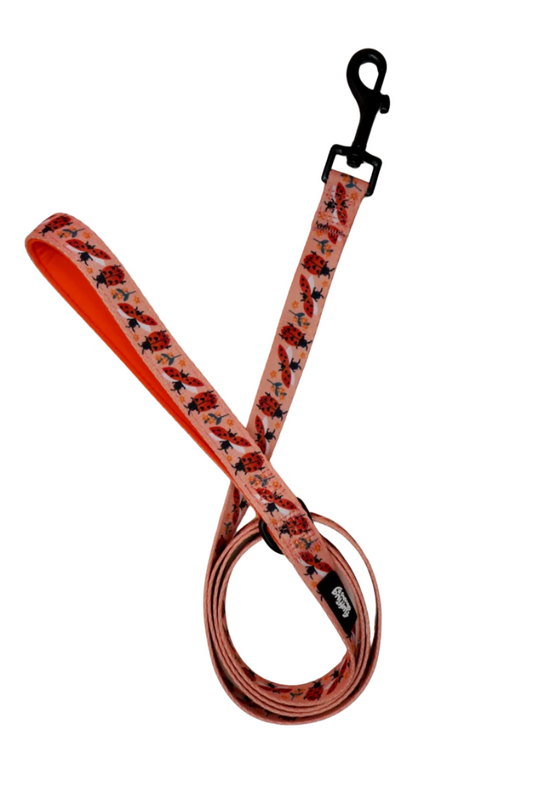 Lead - Snug Like A Lady Bug!