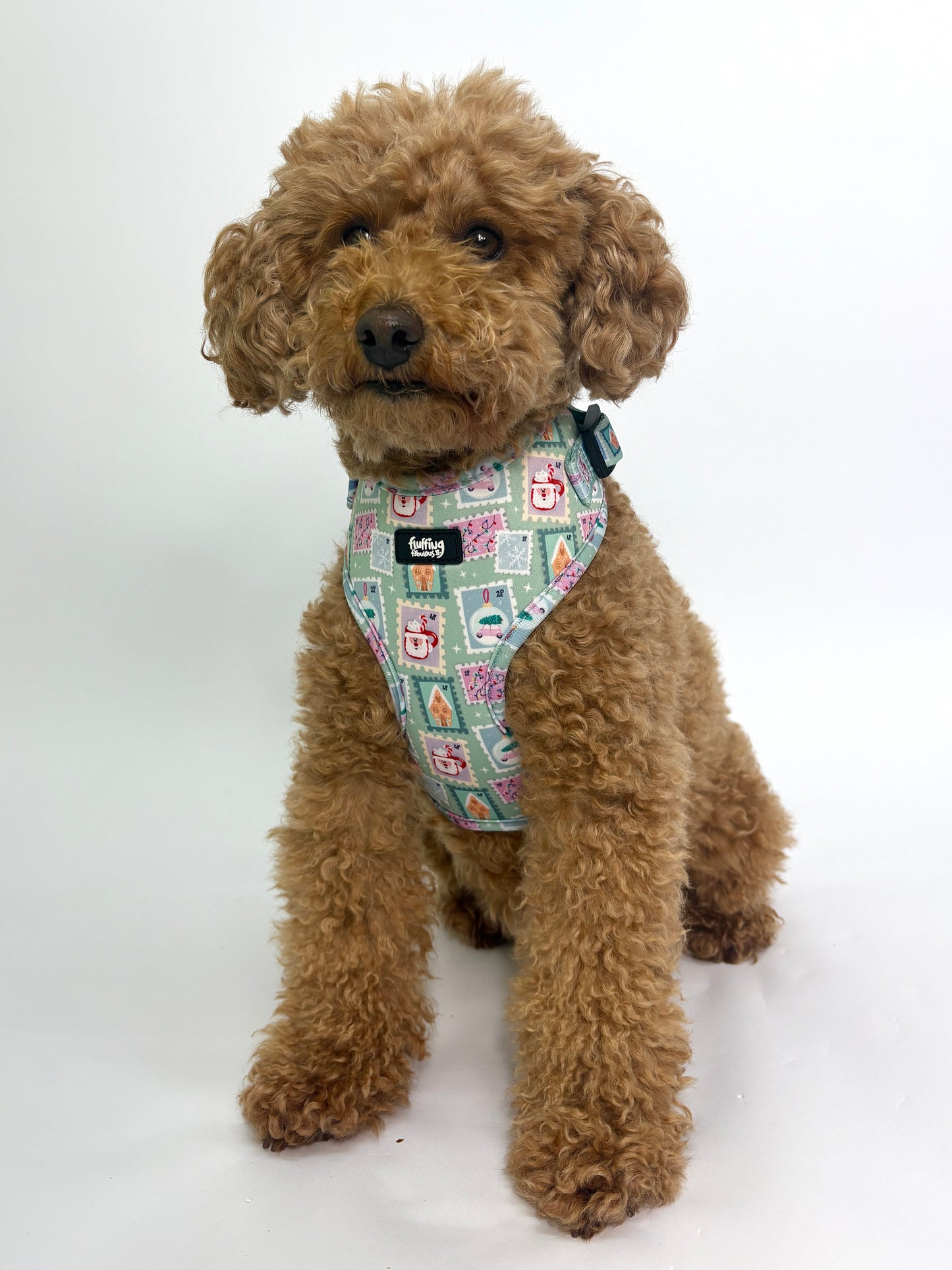 Adjustable Dog Harness - Jingle Mail