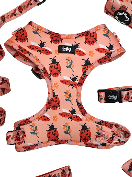 Adjustable Dog Harness - Snug As A Lady Bug