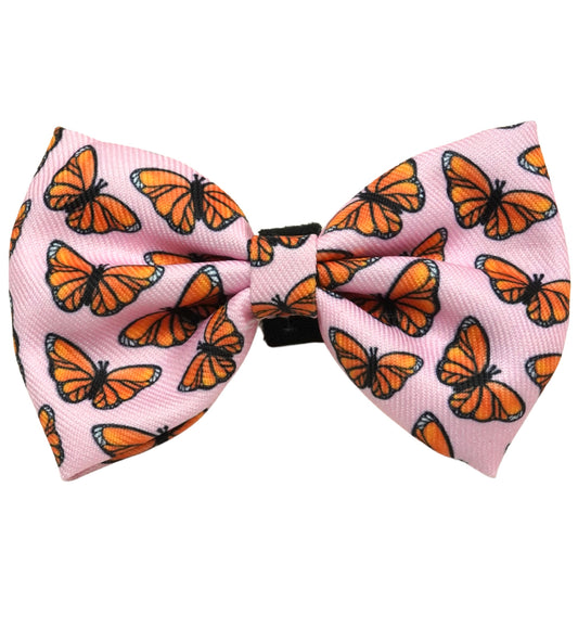 Bow Tie - Winging It