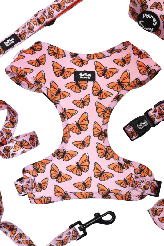 Adjustable Dog Harness - Winging it