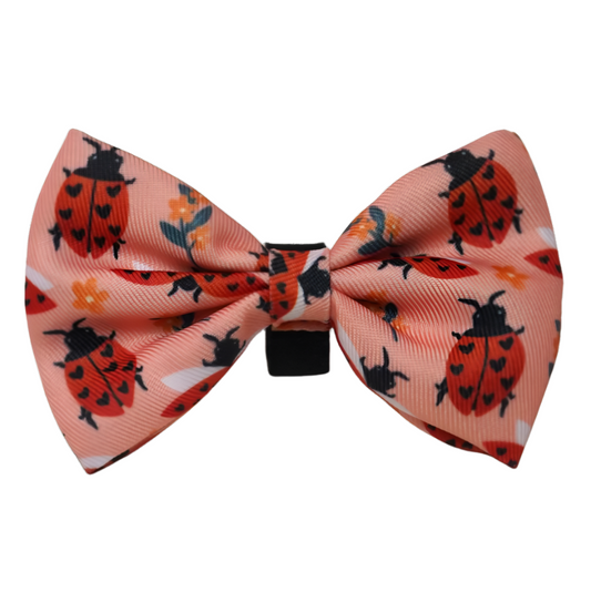 Bow Tie - Snug Like A Ladybug