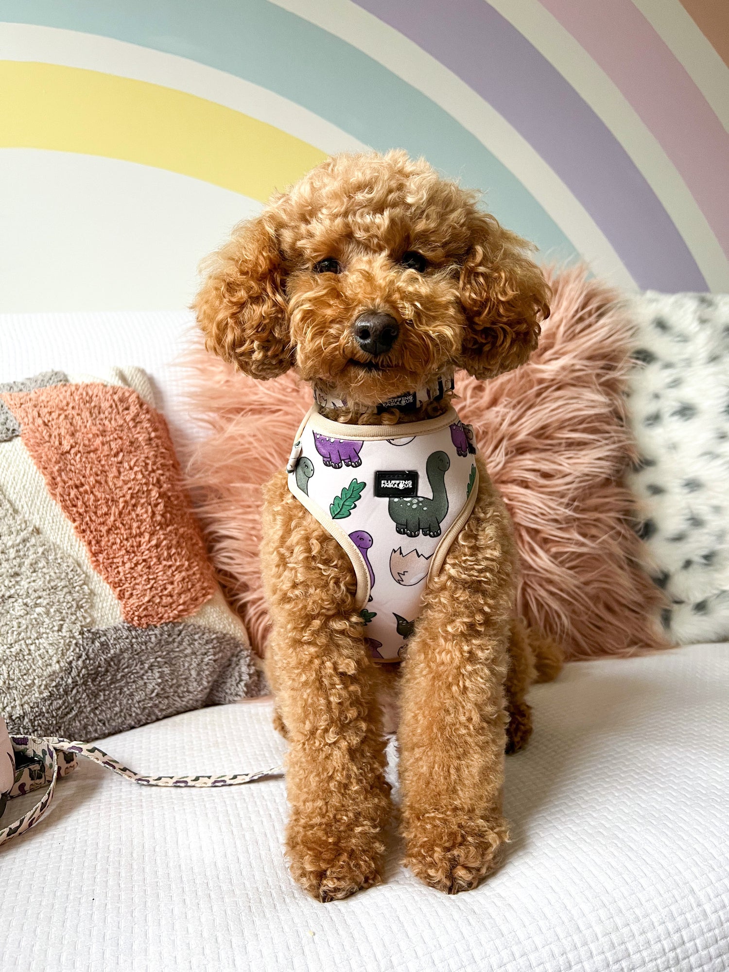 Adjustable dog harness